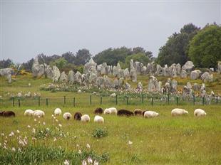 Hotel des Druides Quiberon