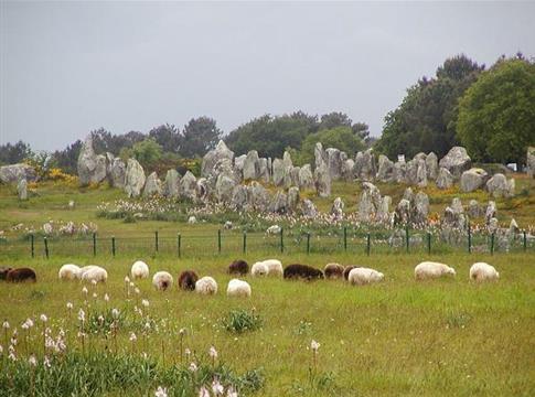 Les alignements de Carnac près de Quiberon - Hôtel des Druides 3 étoiles Quiberon