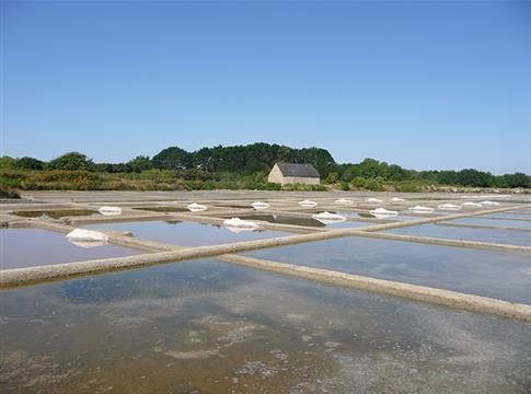 Marée salant de La Trinité sur Mer - Hôtel des Druides 3 étoiles Quiberon
